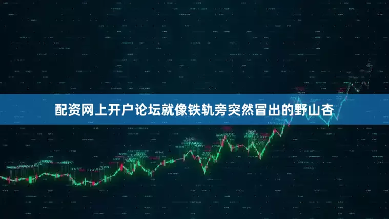 配资网上开户论坛就像铁轨旁突然冒出的野山杏