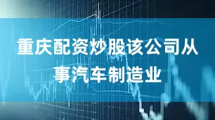 重庆配资炒股该公司从事汽车制造业