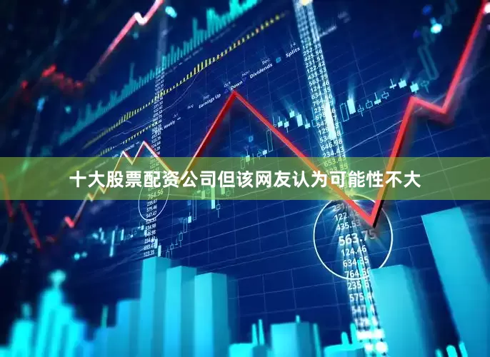 十大股票配资公司但该网友认为可能性不大